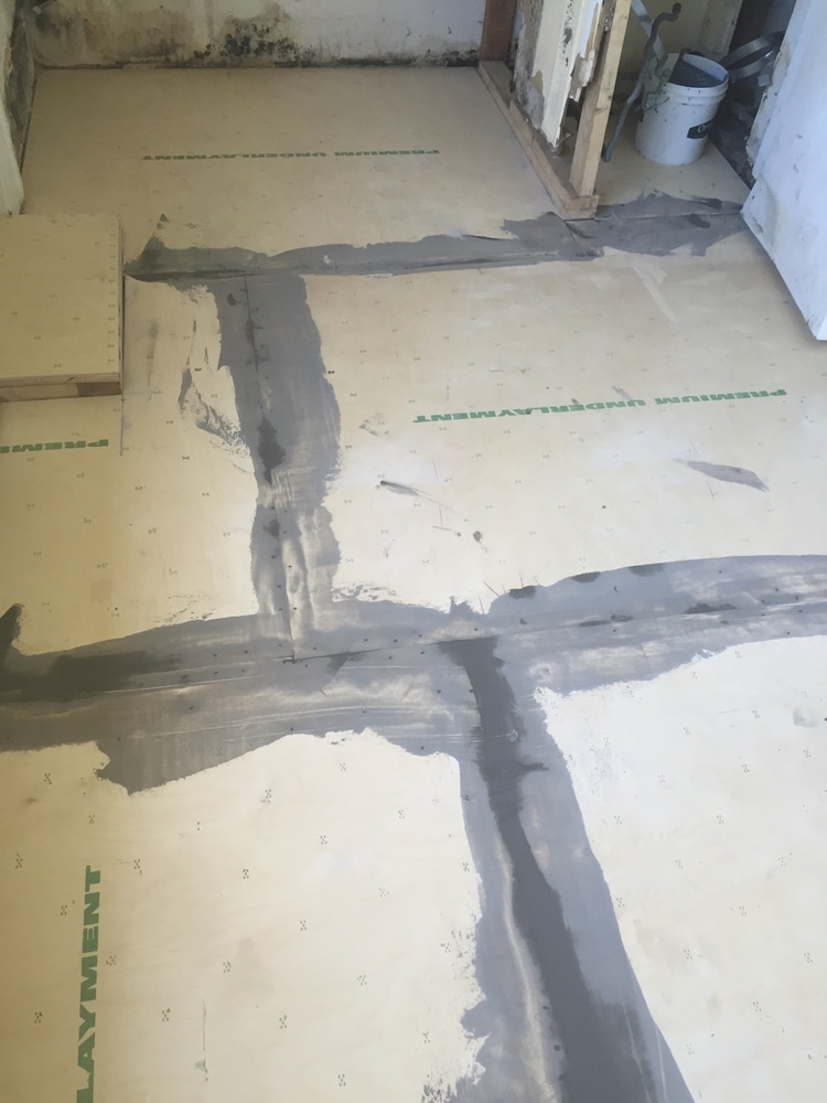 Hals Carpet & Vinyl Project