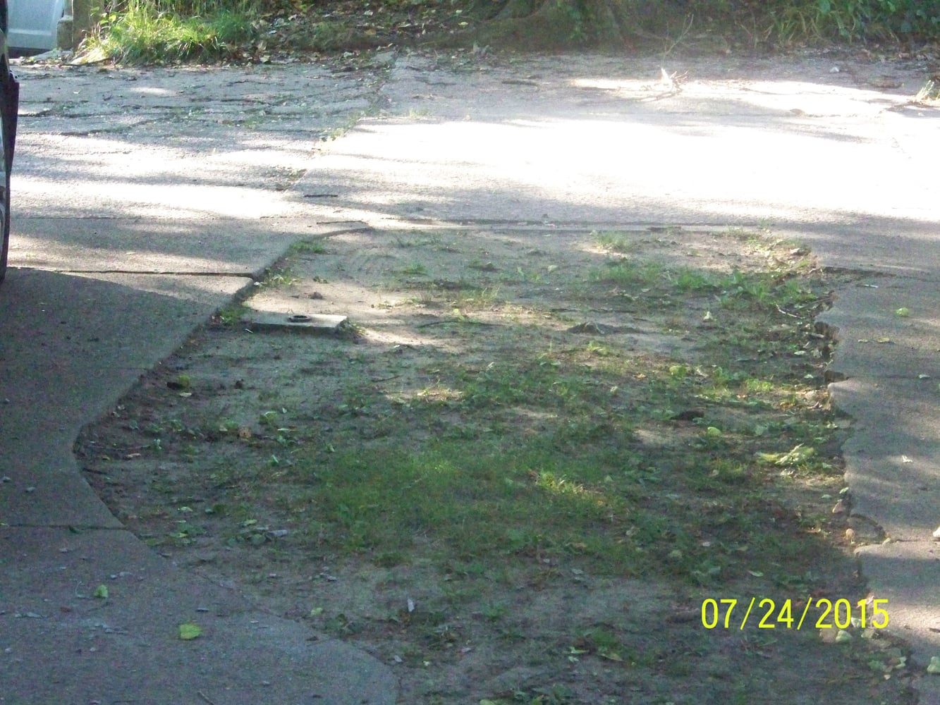 2339 Bryn Mawr Ave back patio