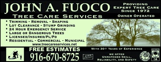 John Fuoco Tree Care Services