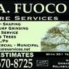John Fuoco Tree Care Services
