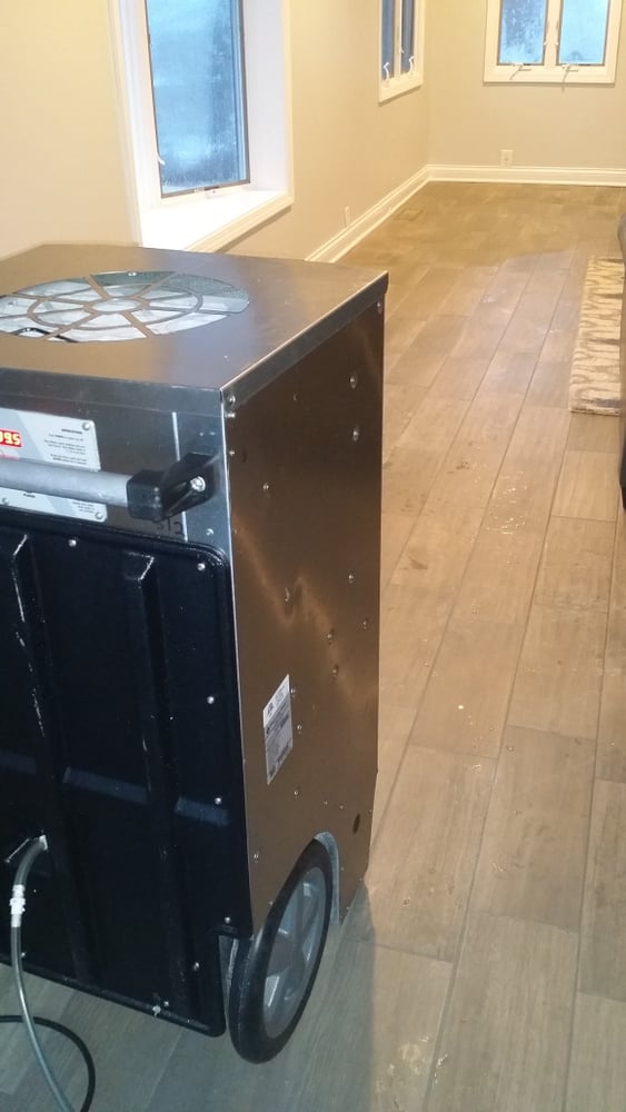 Photos from Absolutely Dry Llc