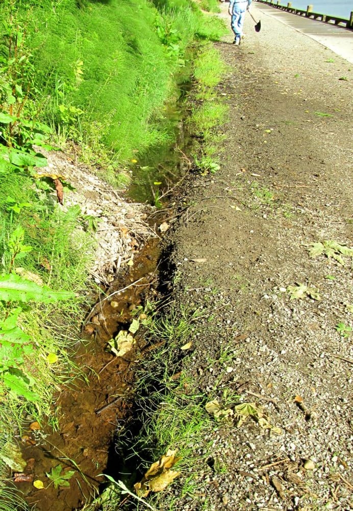 Photo(s) from Ditch Maintenance Services