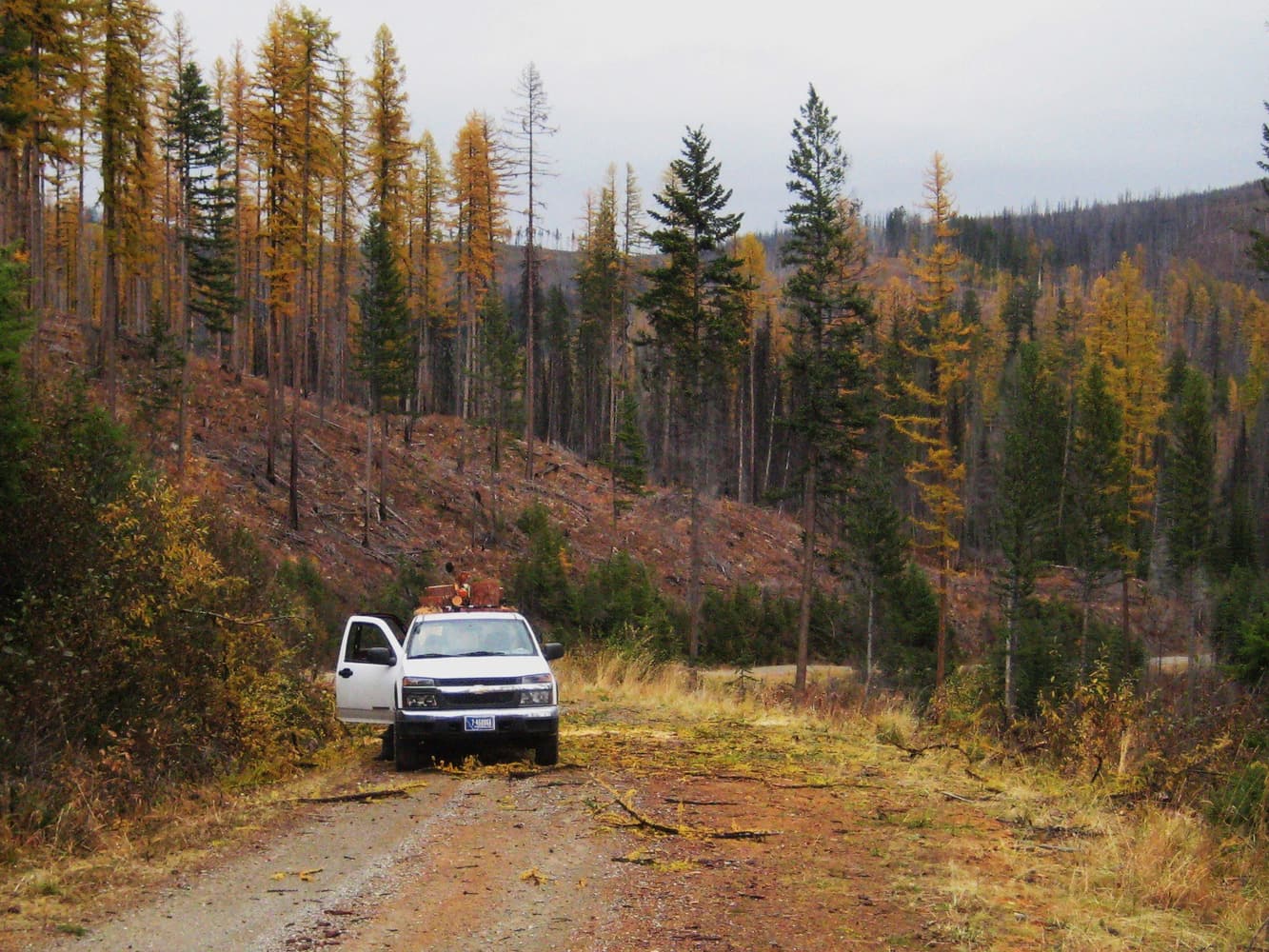 Wilderness Building Systems Project