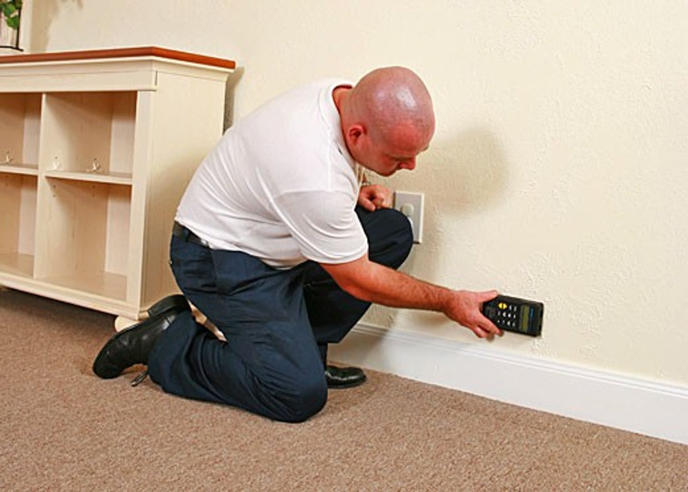 On-the-Spot Mold Services Project