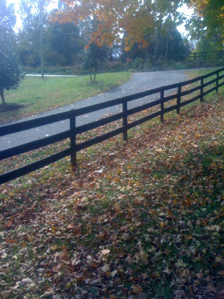 Aspen Fence & Deck Project