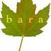 The Bara Process, Pa