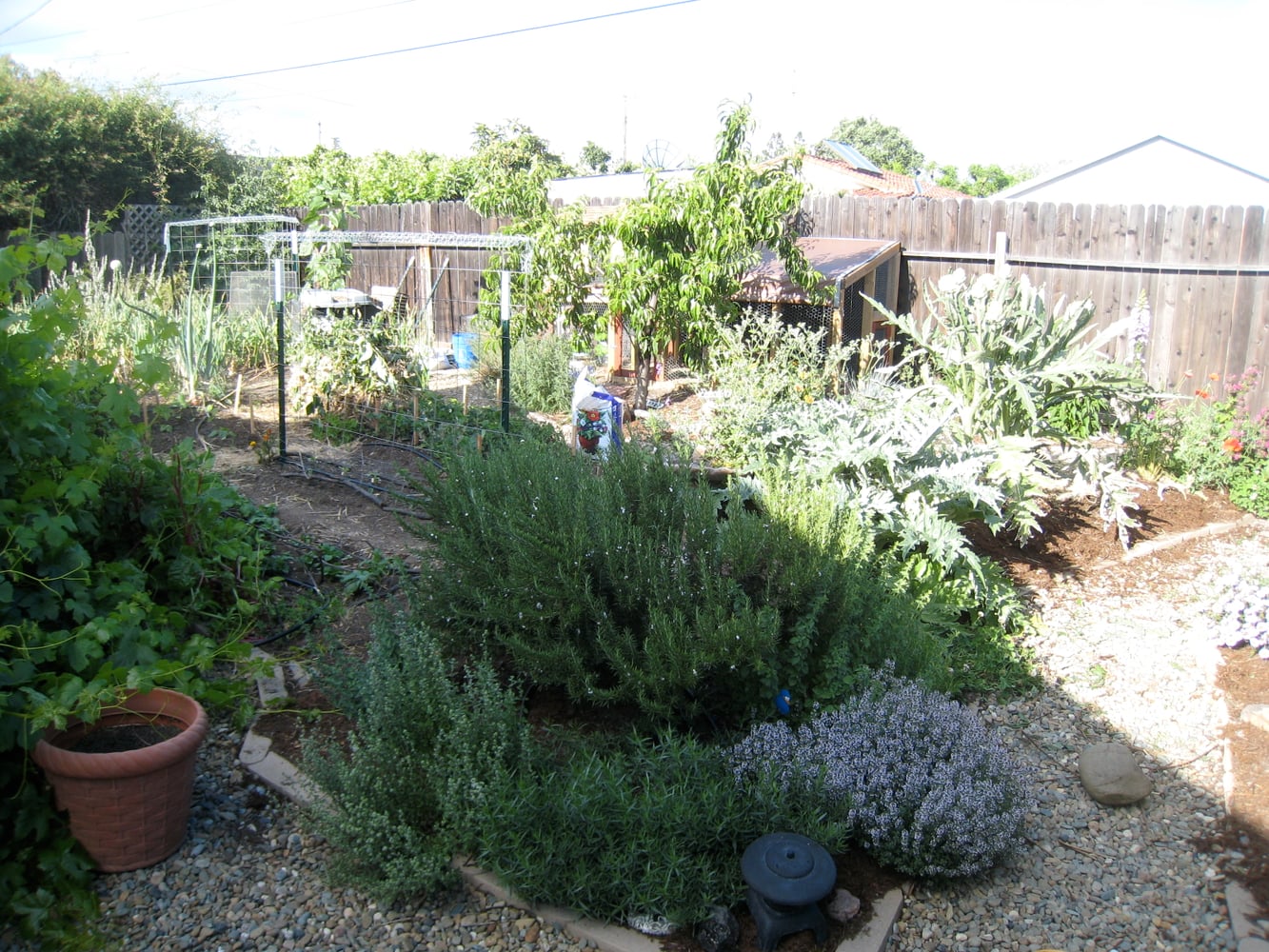 Front Yard as Native Plant Wildlife Habitat