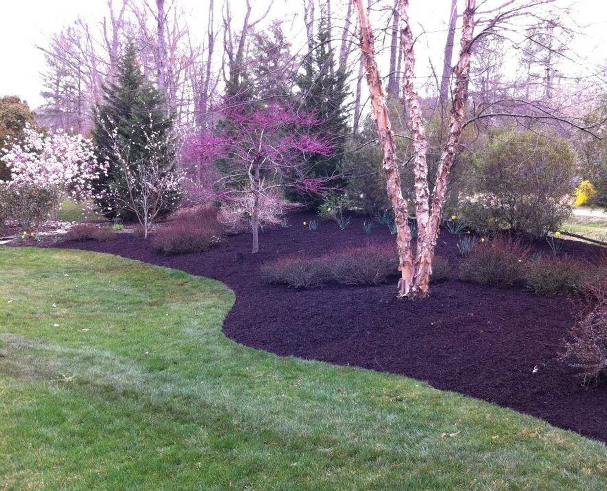 Custom Landscape Services Gallery
