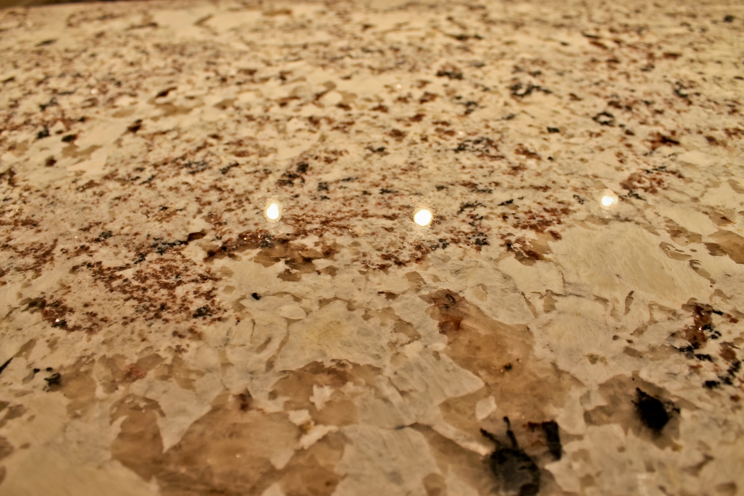 Condo Kitchen Remodel (Magnificent Mile)