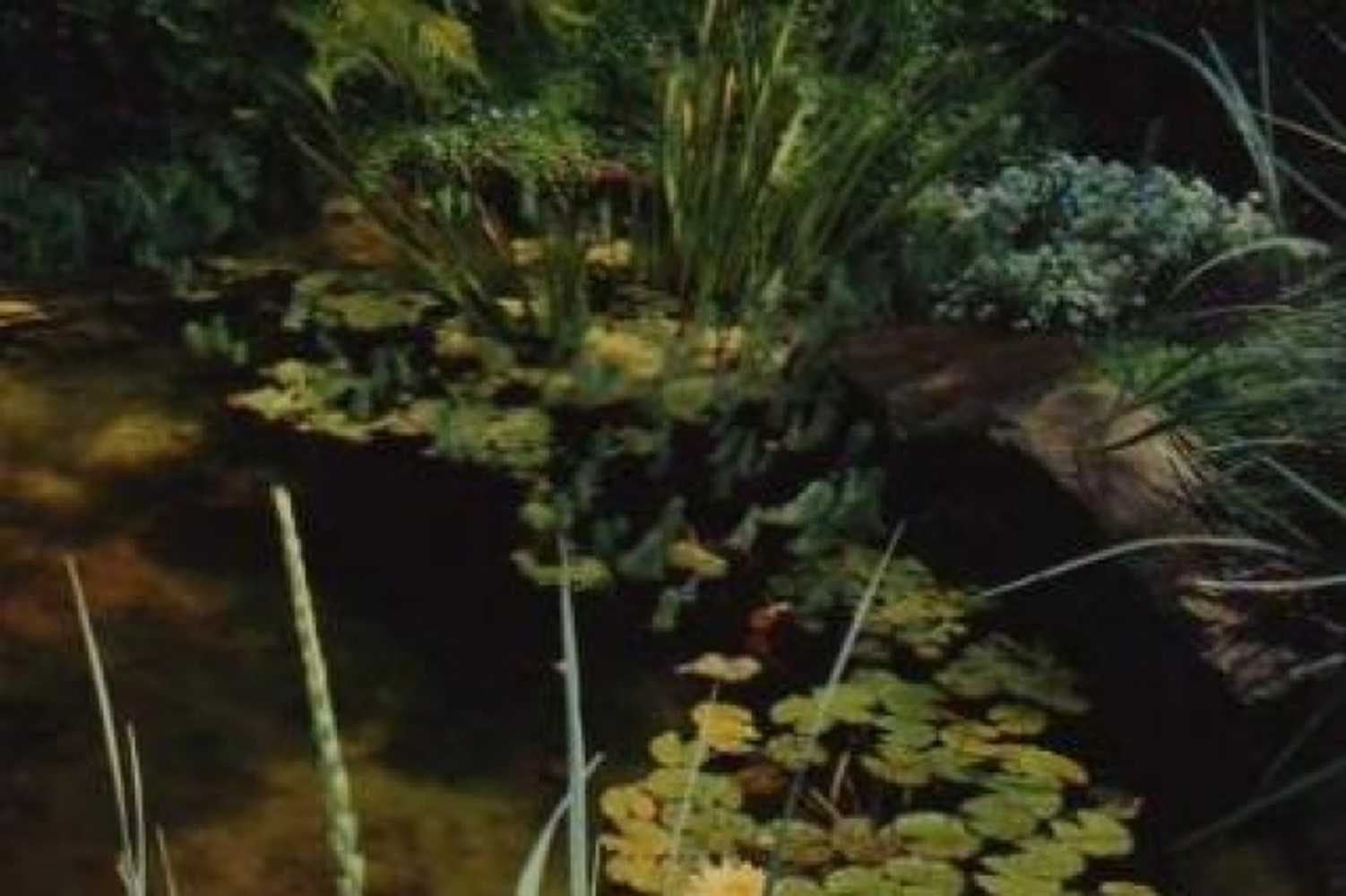 Pools, Spas, Water Features