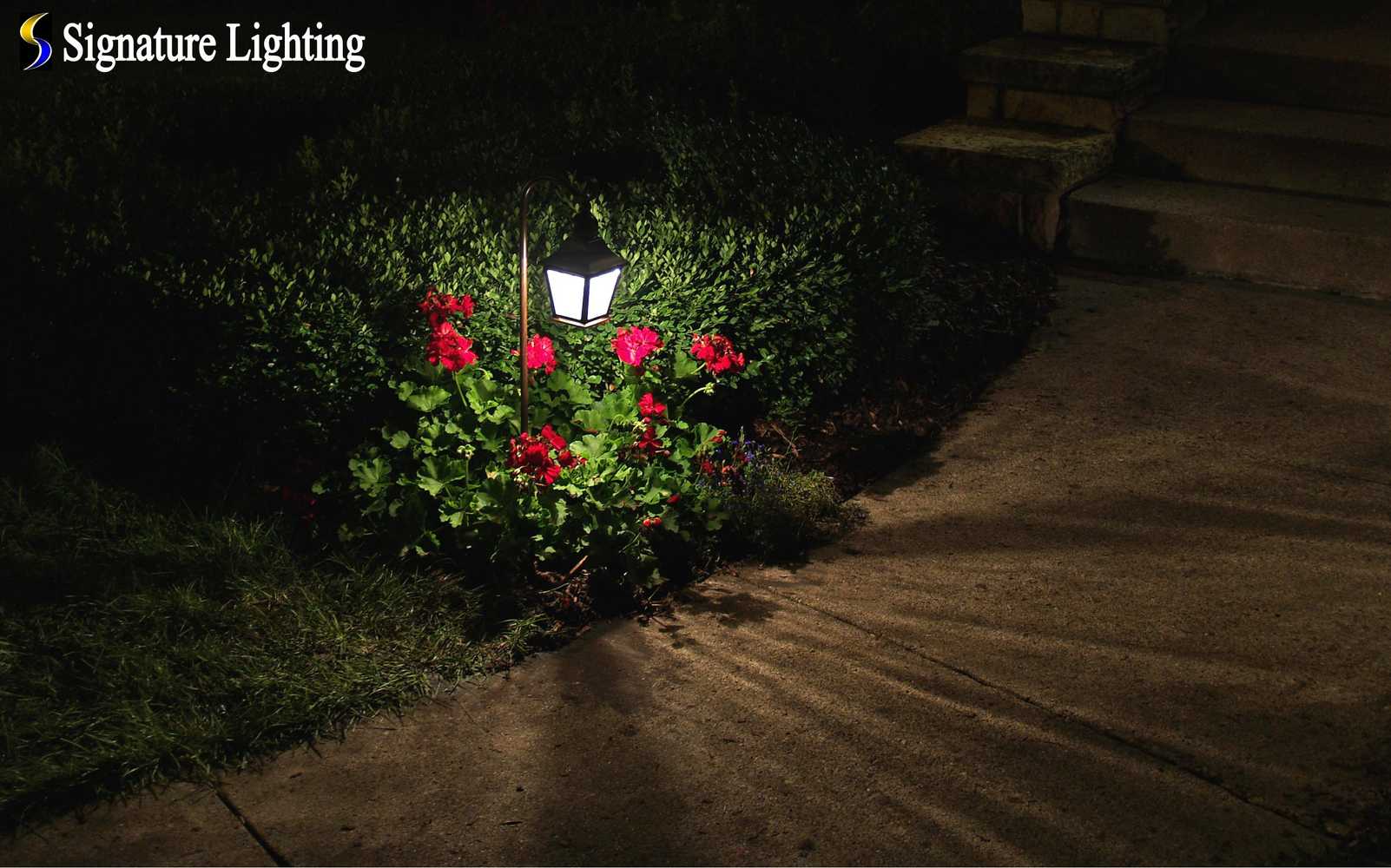 Landscape Lighting