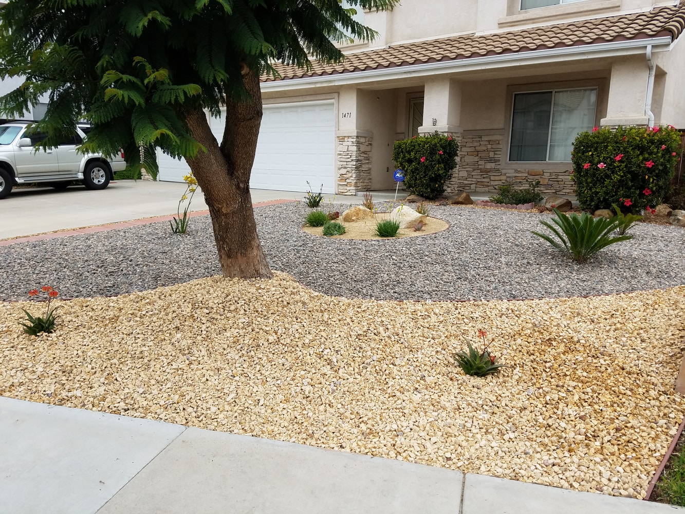 Chula Vista Xeriscape