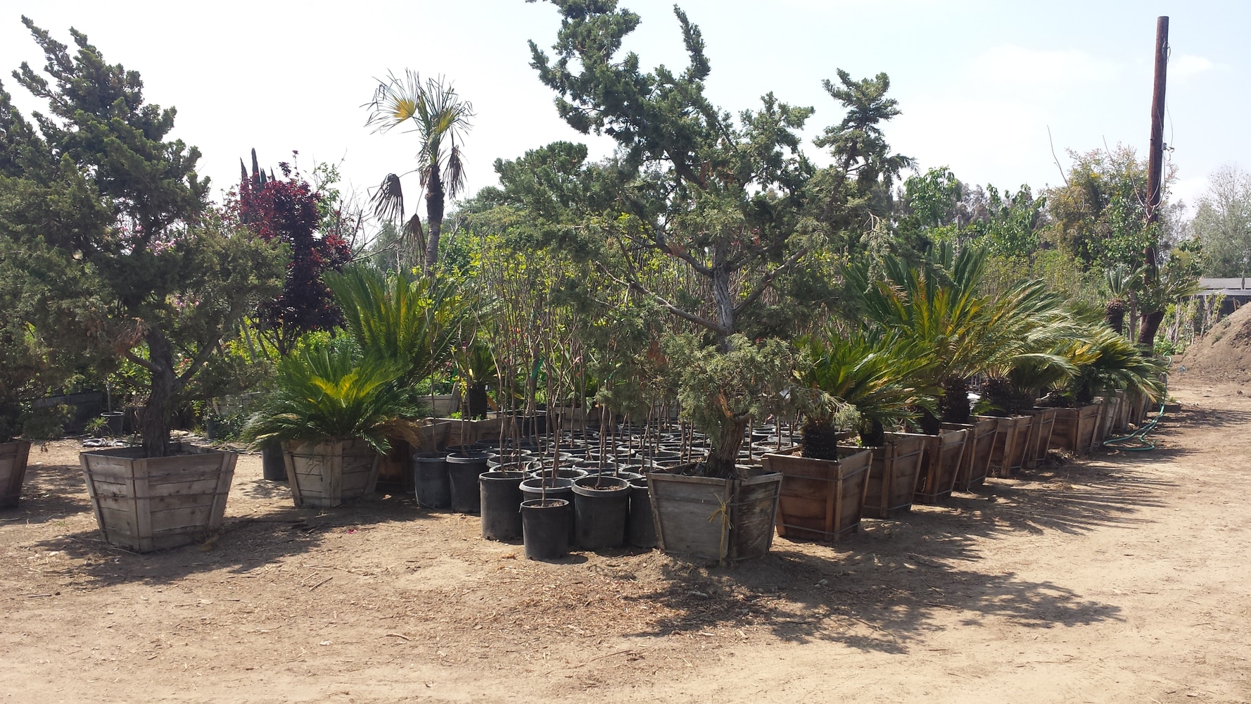 The Complete Yard Service Project