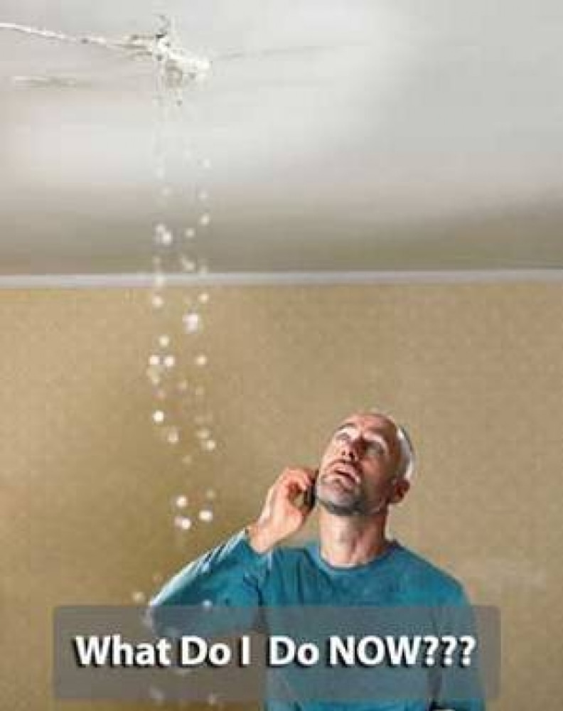 Water Damage and Mold Remediation 