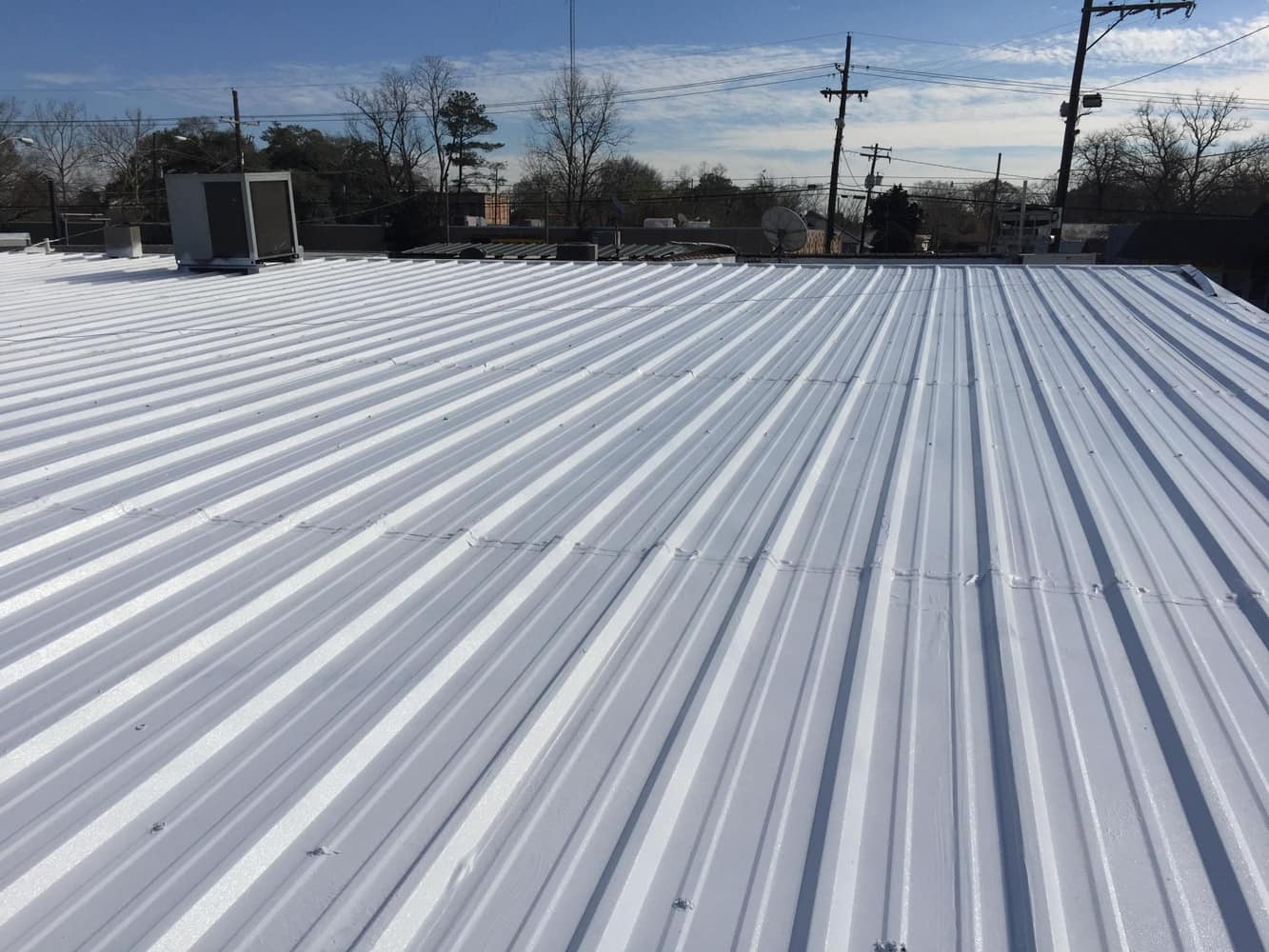 Photos from Michael Ryan