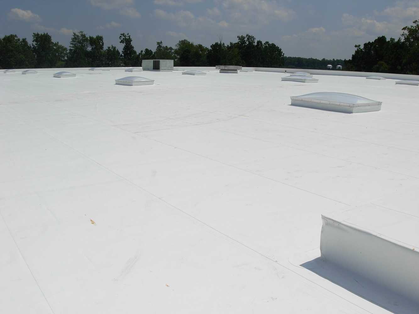 Commercial TPO Roofs