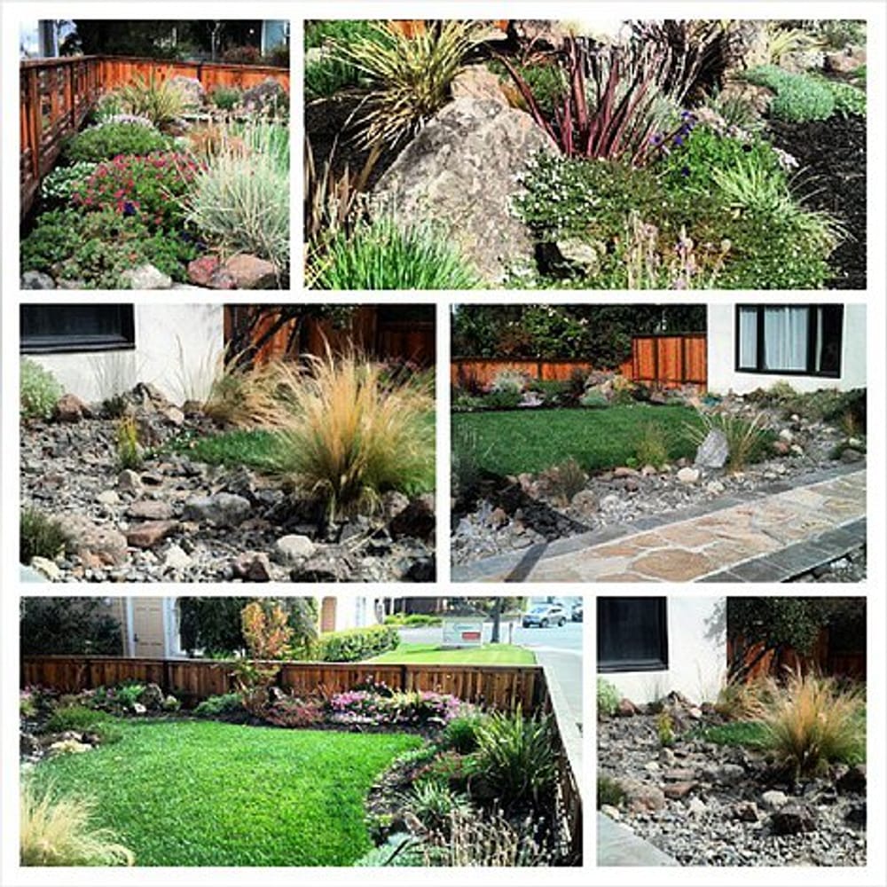 Hoopster Haven in Novato, Ca.