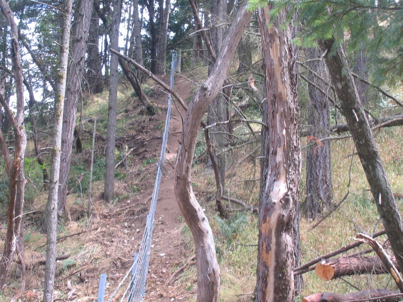 Tb Irrigation Project