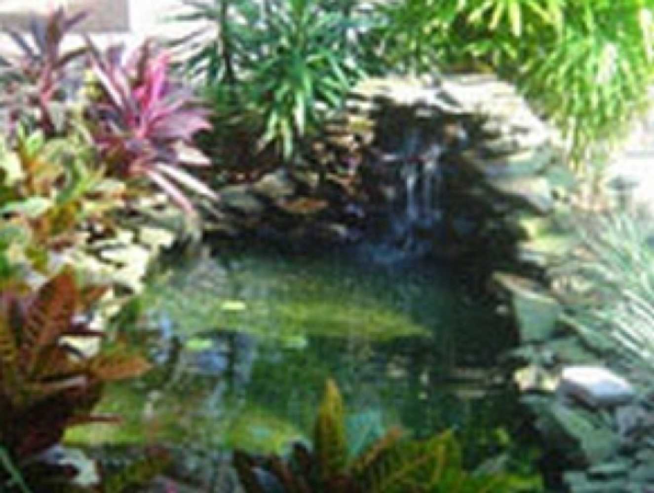 Ponds and Water Features