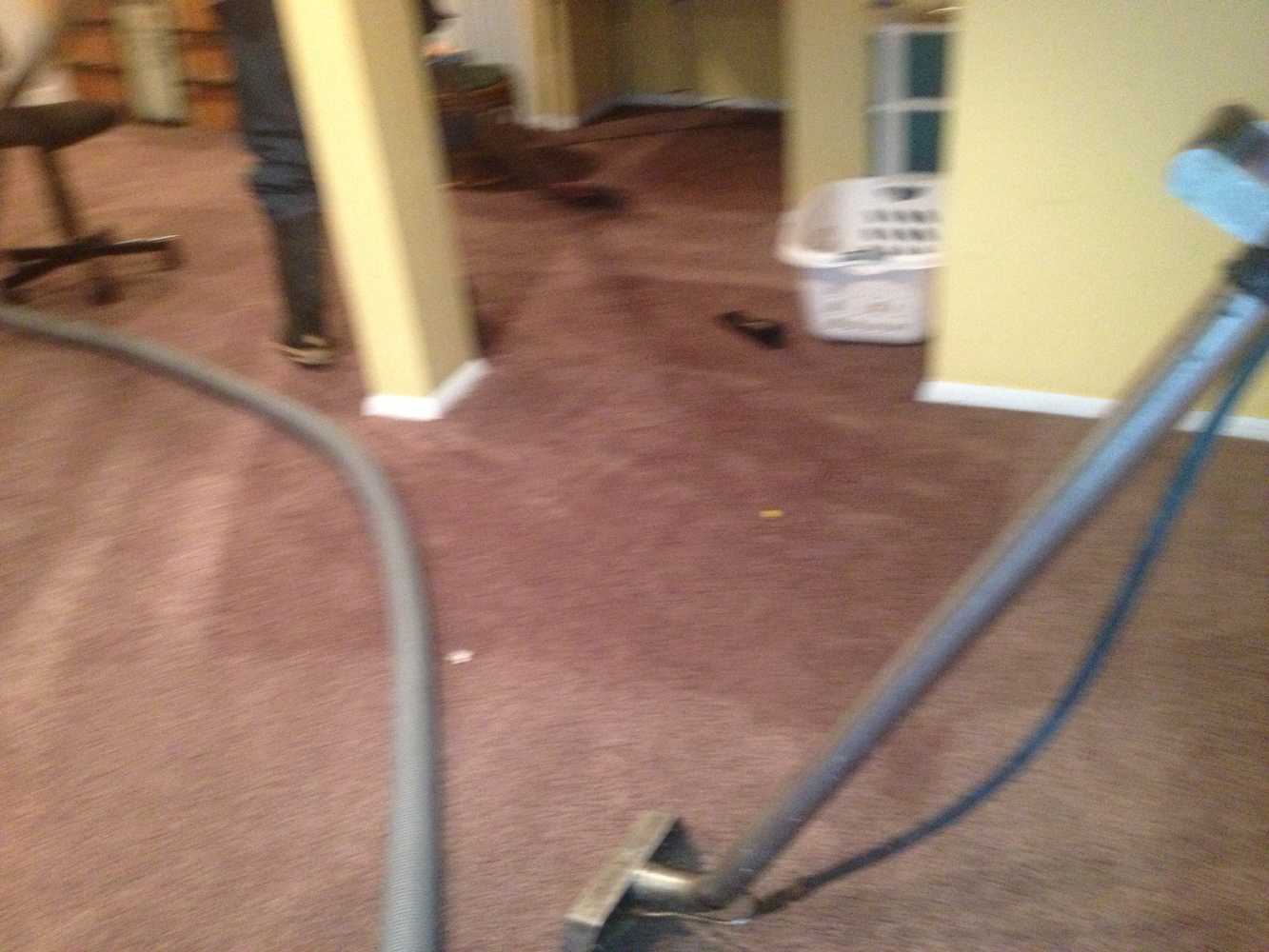 Photo(s) from All Phase Floor Cleaning & Flood Restoration Llc