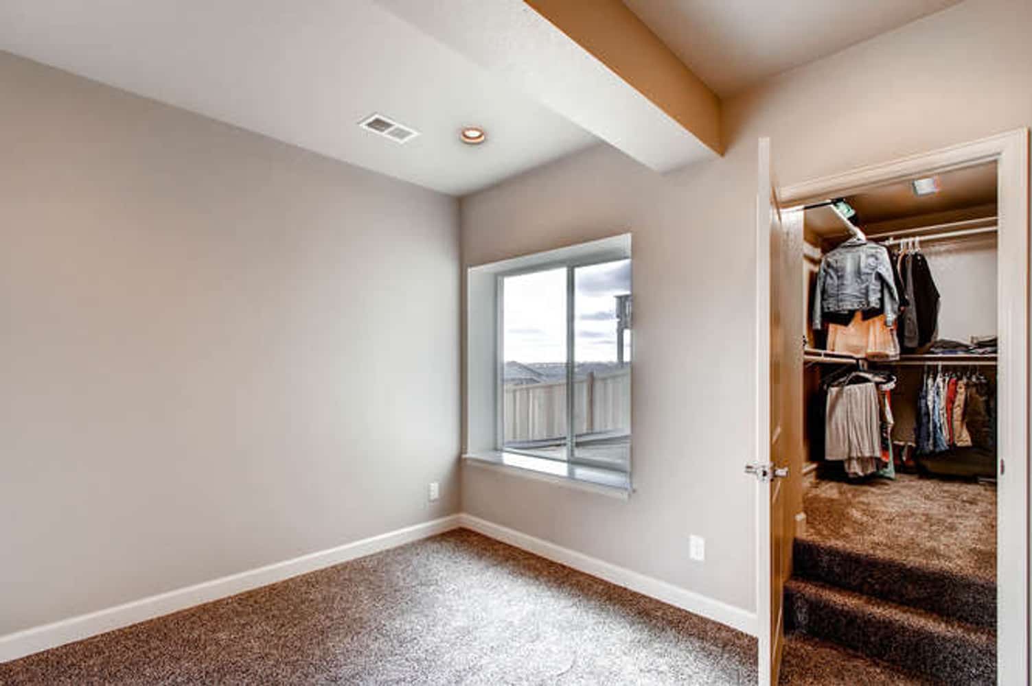 Small basement finish in Castle Rock, CO