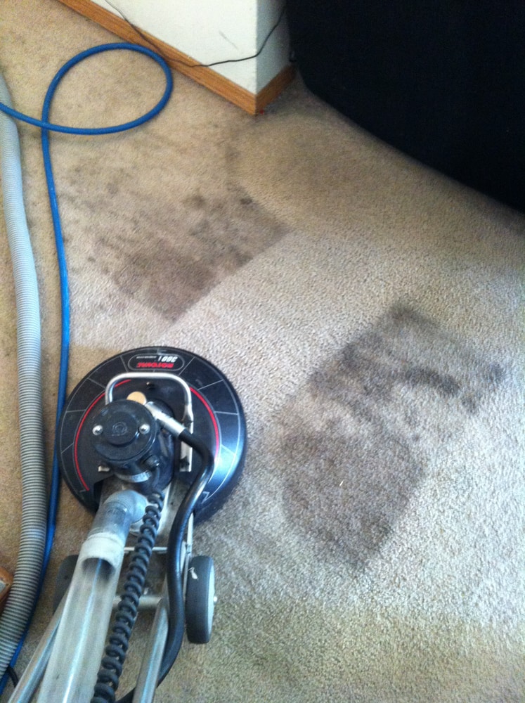 Project photos from Johnson Floor Care