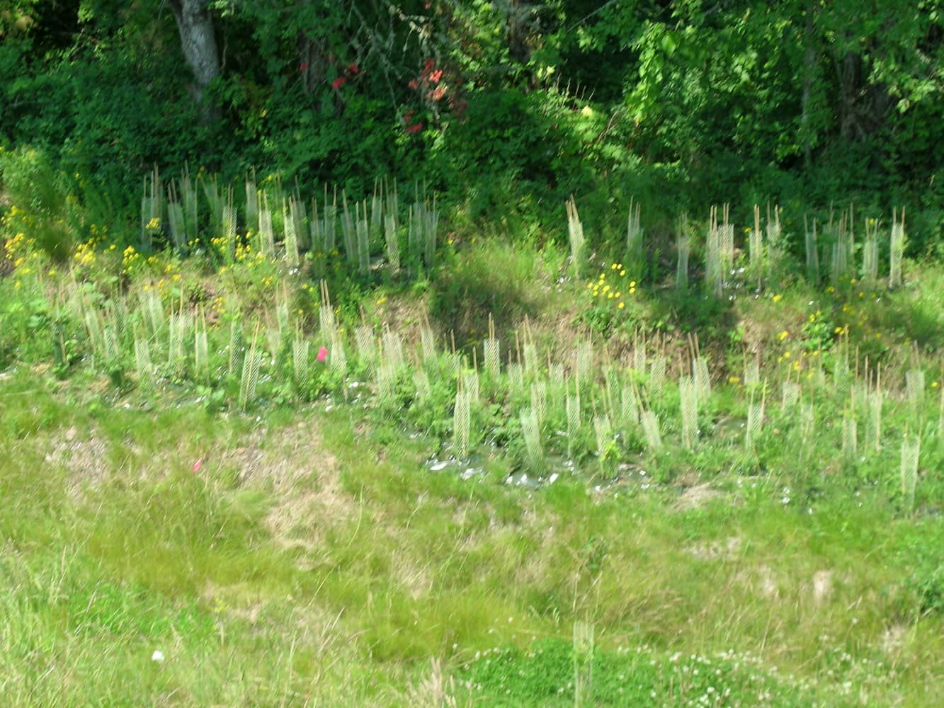 Tb Irrigation Project