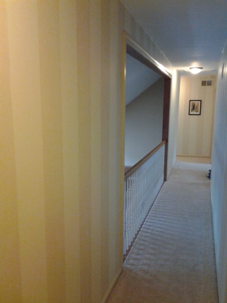 Photos from Family First Painting Contractors