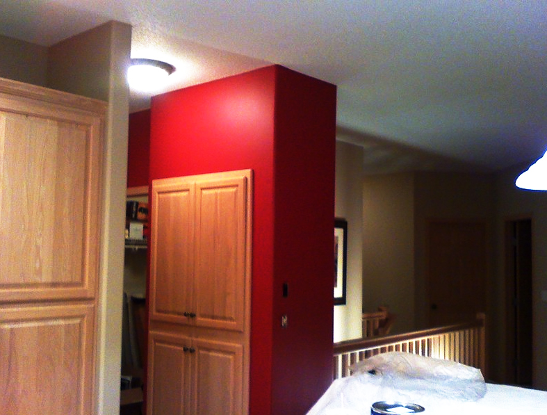 Tim Johnson Painting