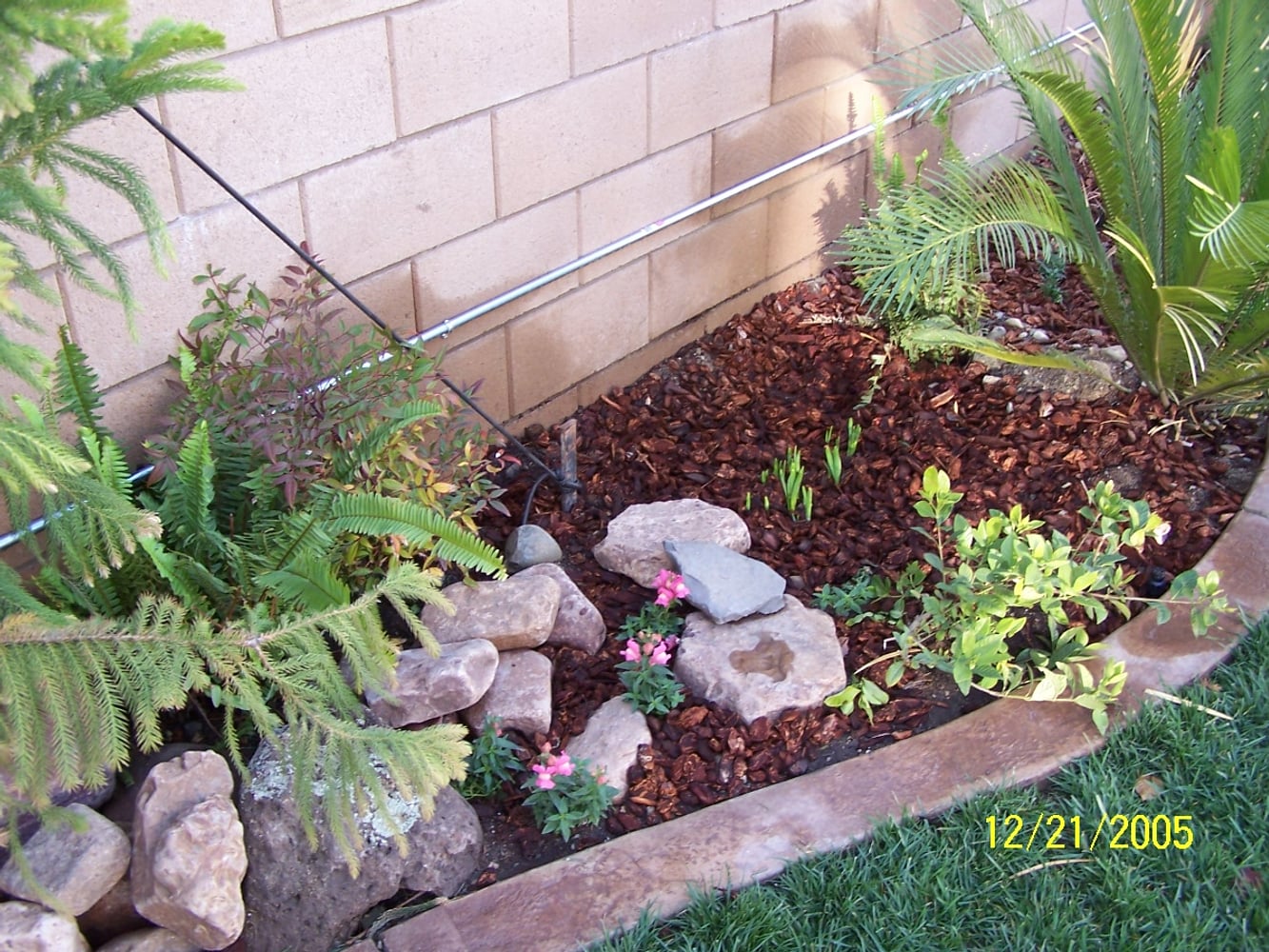 The Complete Yard Service Project