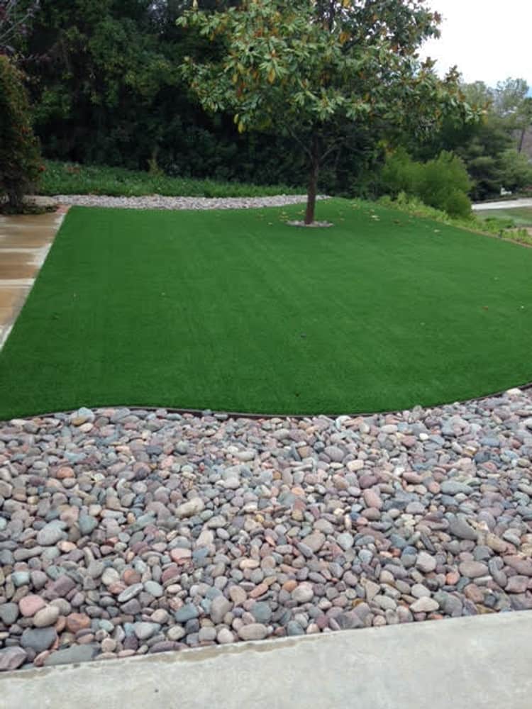 Drought Resistant Landscape Ideas