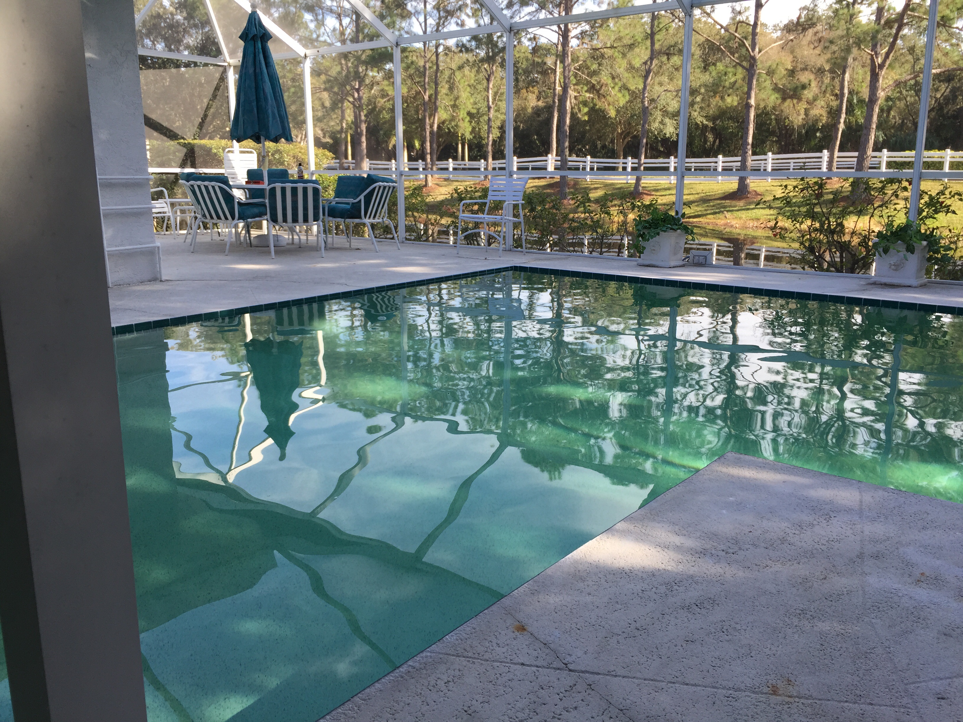 Photo(s) from Amazon Pools, Inc.