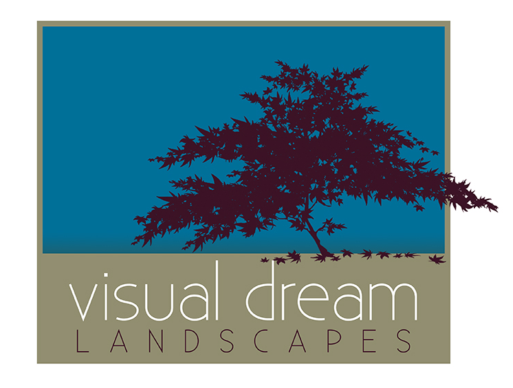 Visual Dream Landscapes