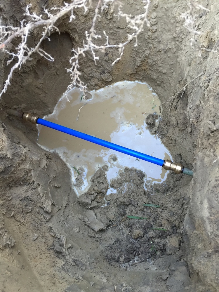 Photo(s) from Newman's Plumbing