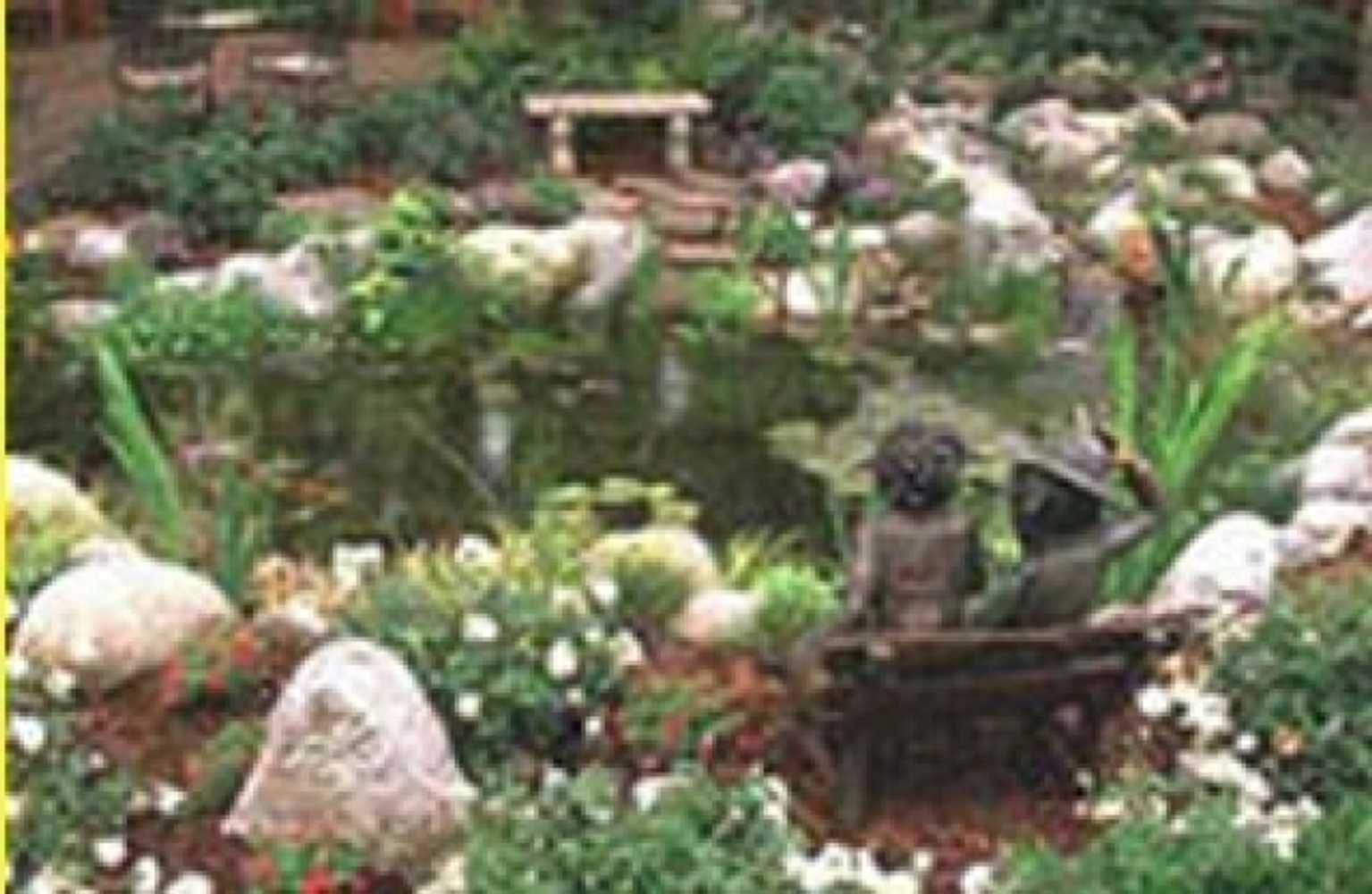 Ponds and Water Features