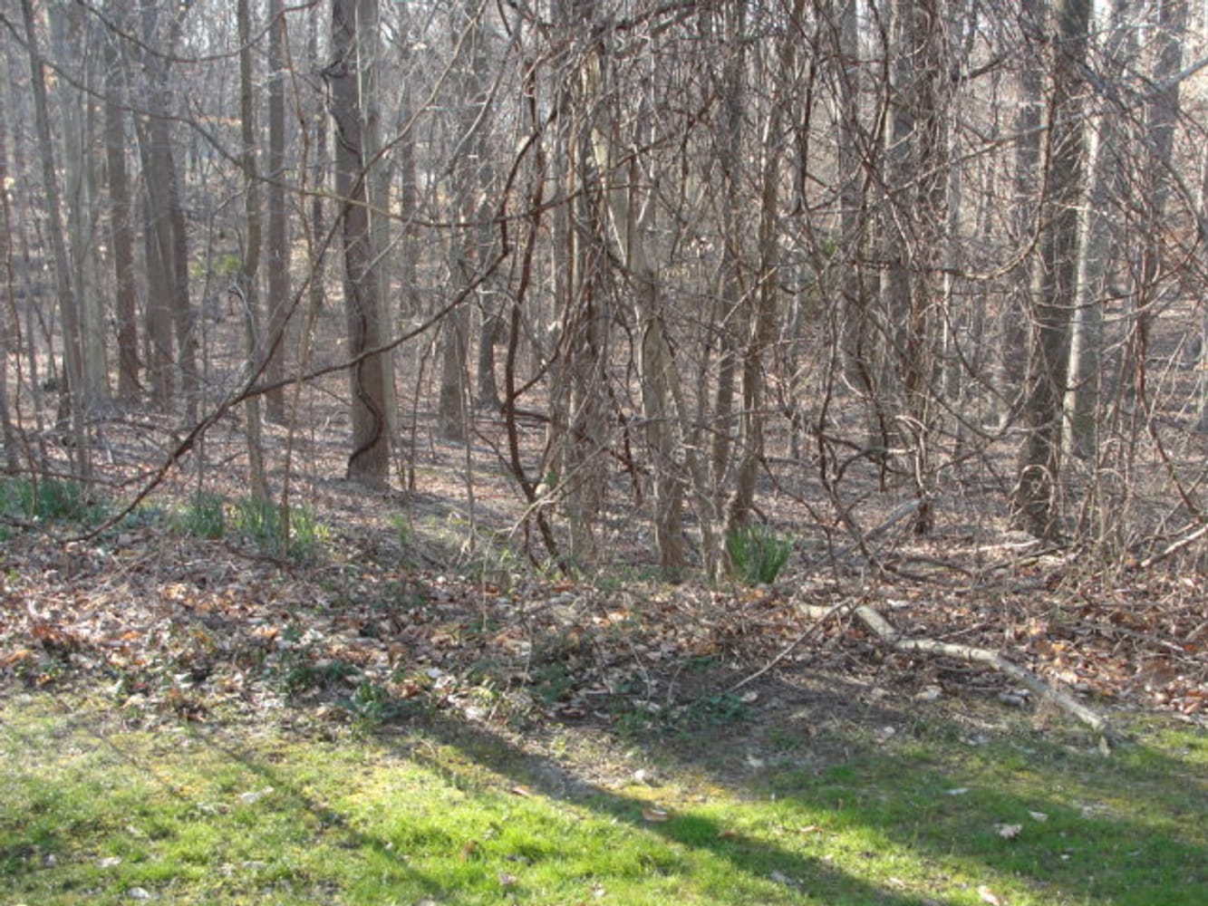 Photo(s) from Cornerstone Craftsmen And Developers