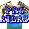 Pro Atlas Inc