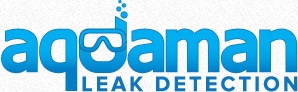 Aquaman Leak Detection  pool leak repair