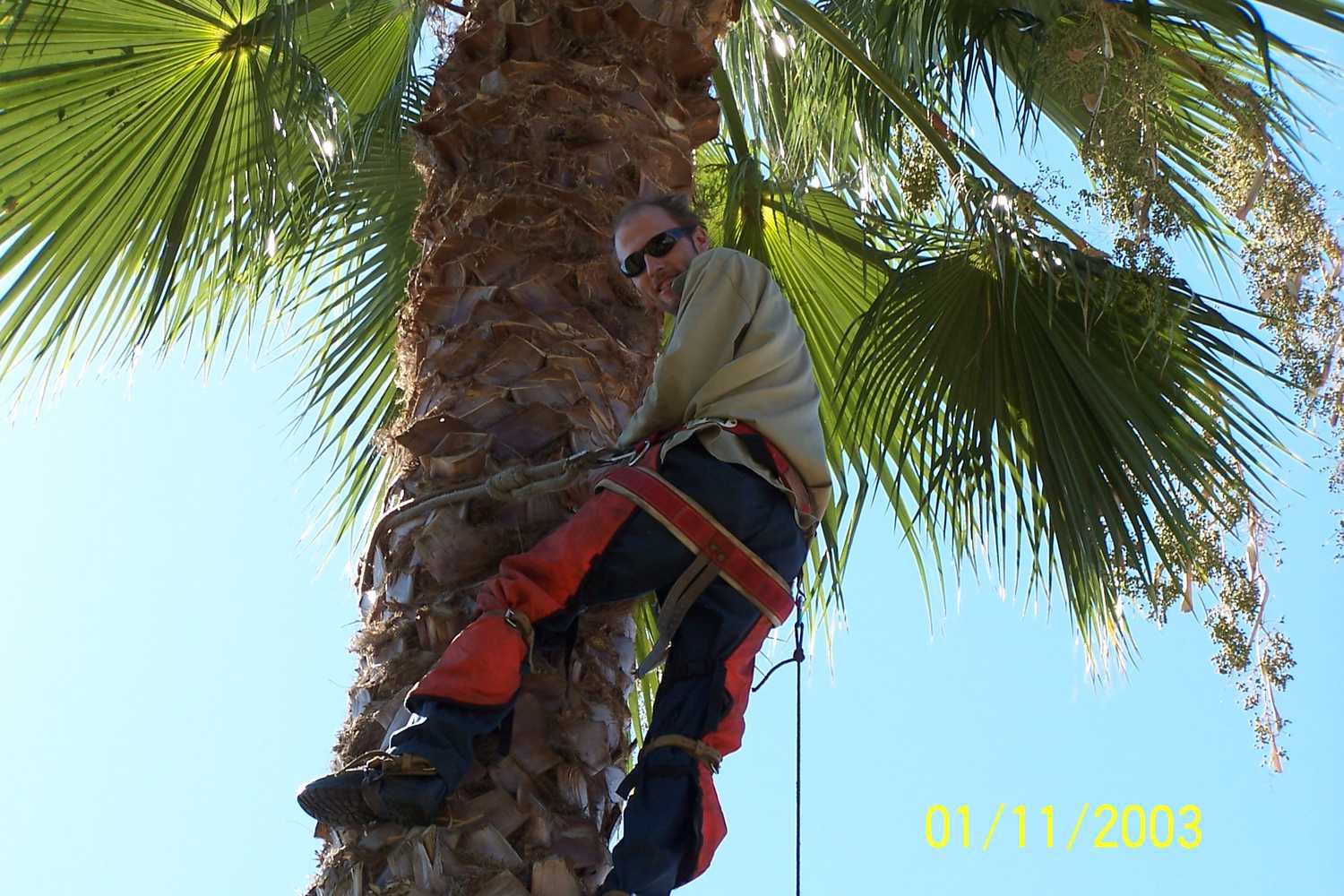 The Complete Yard Service Project