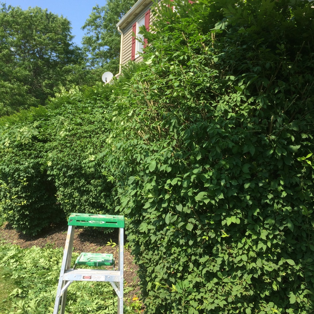 Photos from Superior Land Care Inc