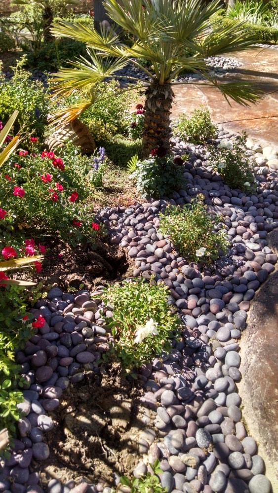 My Landdcape Design and Projects