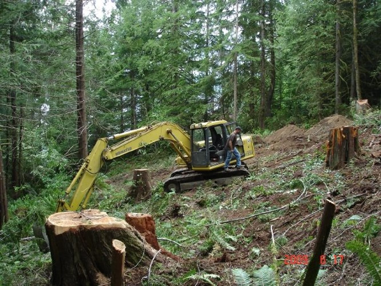 Photo(s) from Dogwood Construction Inc