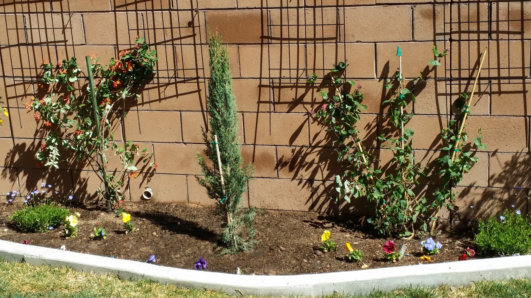 Photo(s) from Moore and Romero's landscaping and handyman services LLC