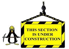 Sean Wilson's Construction