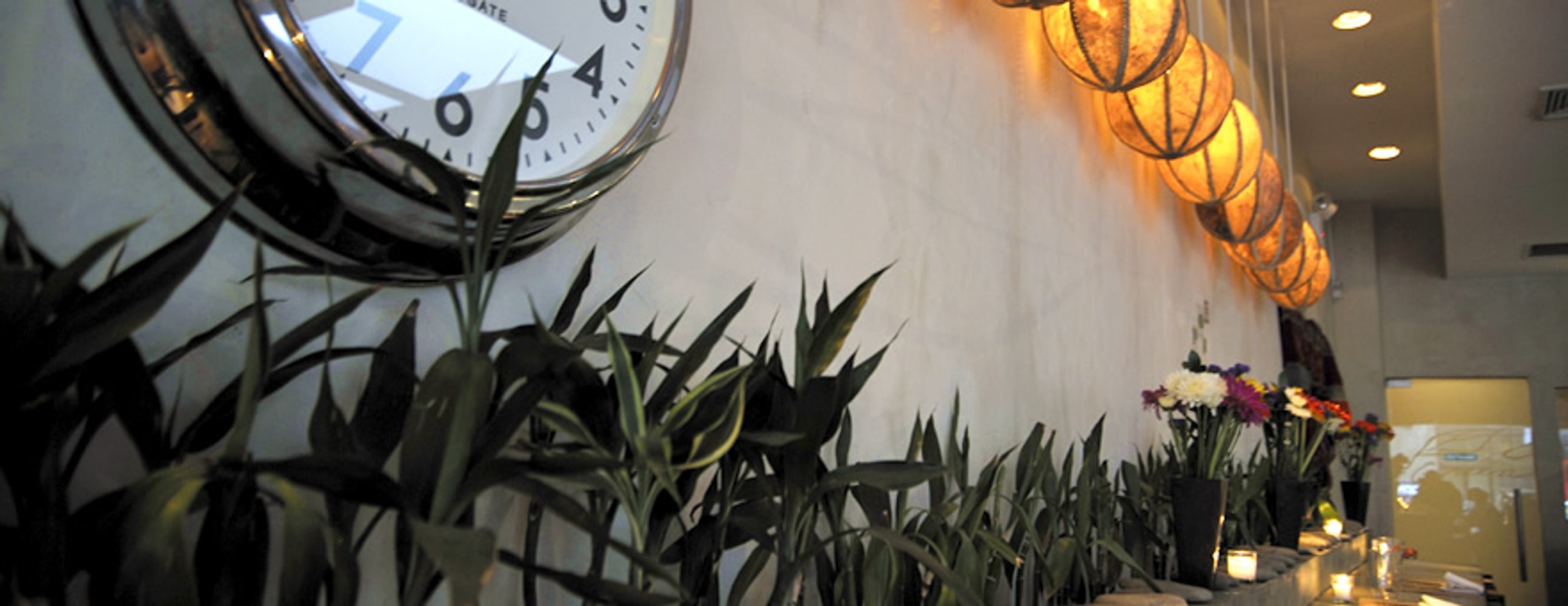 COMERCIAL GUSTO ORGANIC