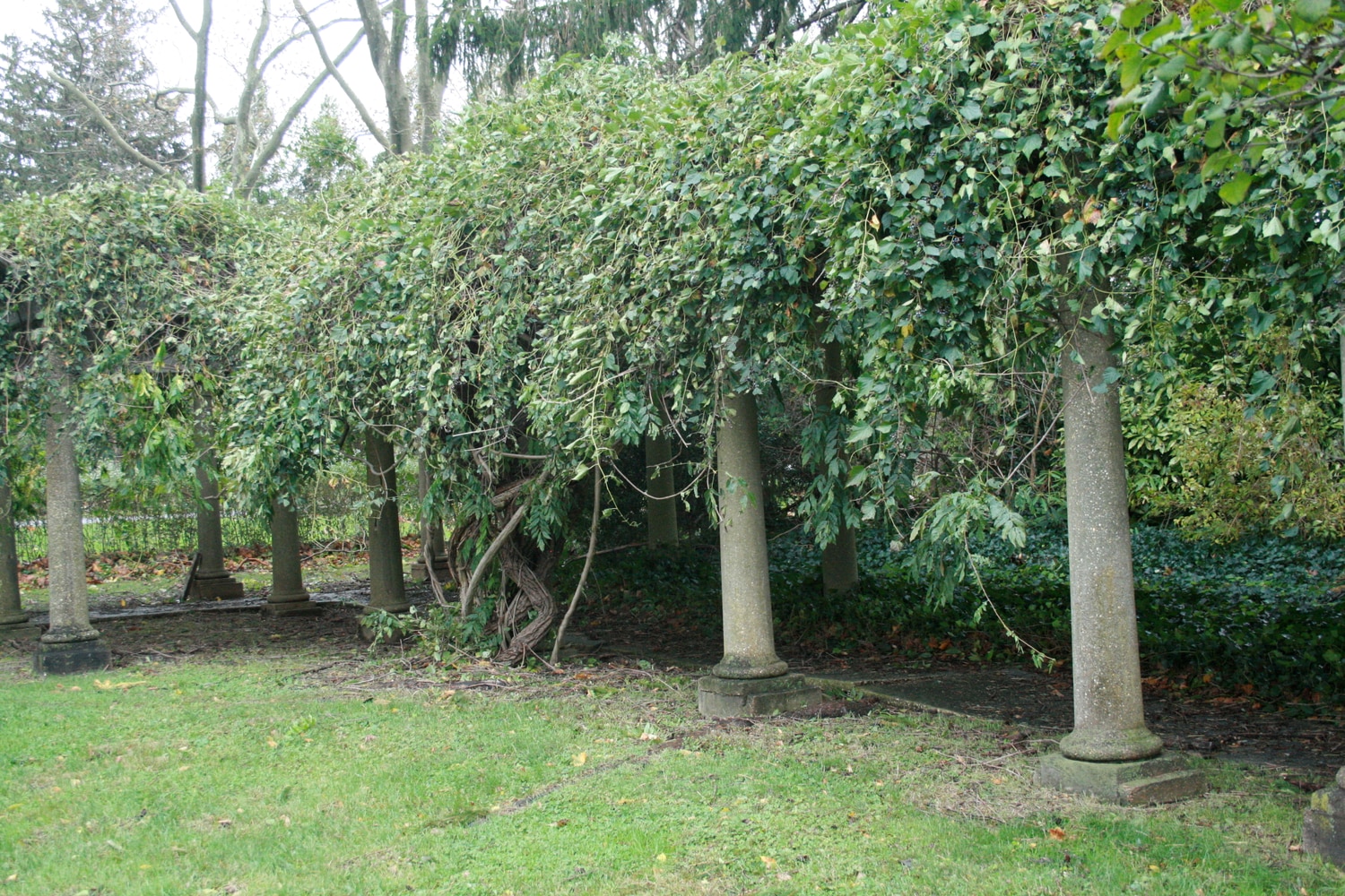 Projects by Mossy Cobbles