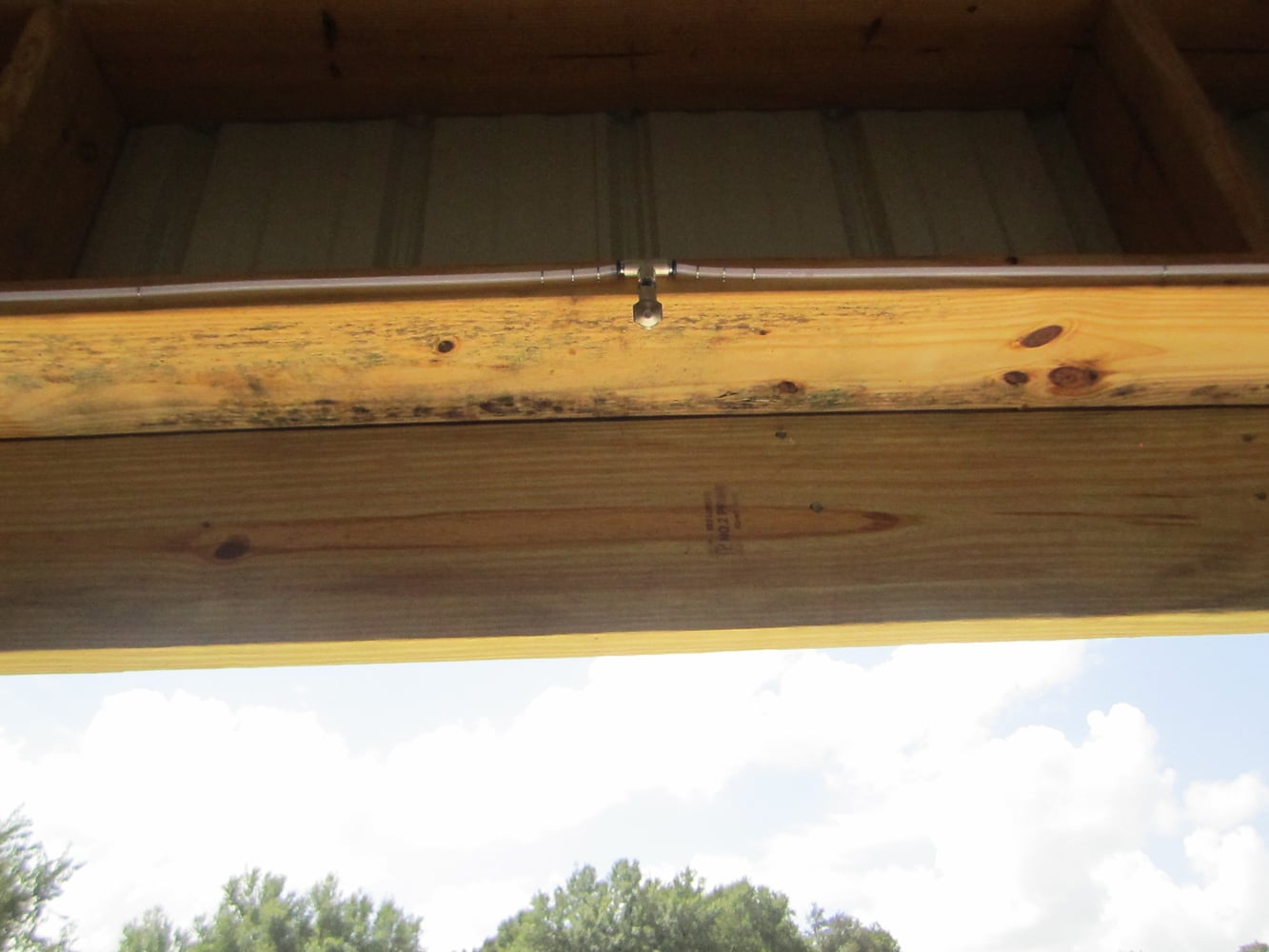 Auto Mist Automatic Pest Control Systems