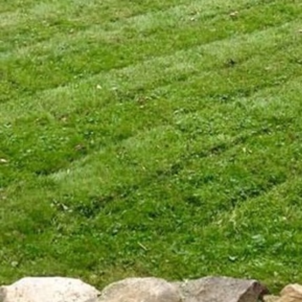 Photos from Chad Shirey