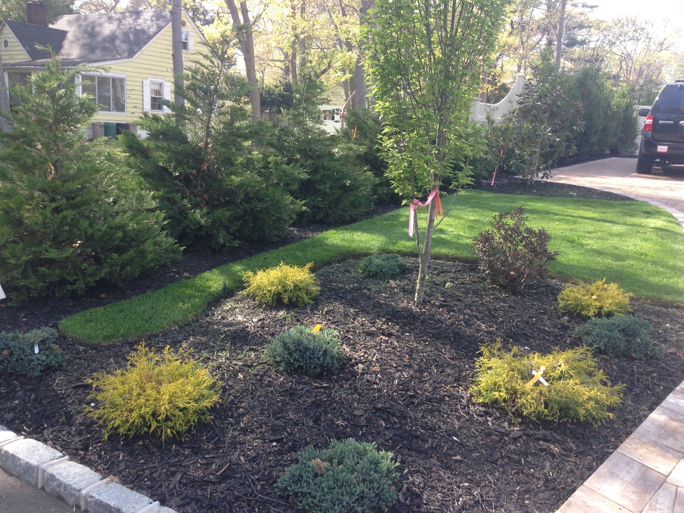 Photo(s) from J Euceda Full Service Landscaping