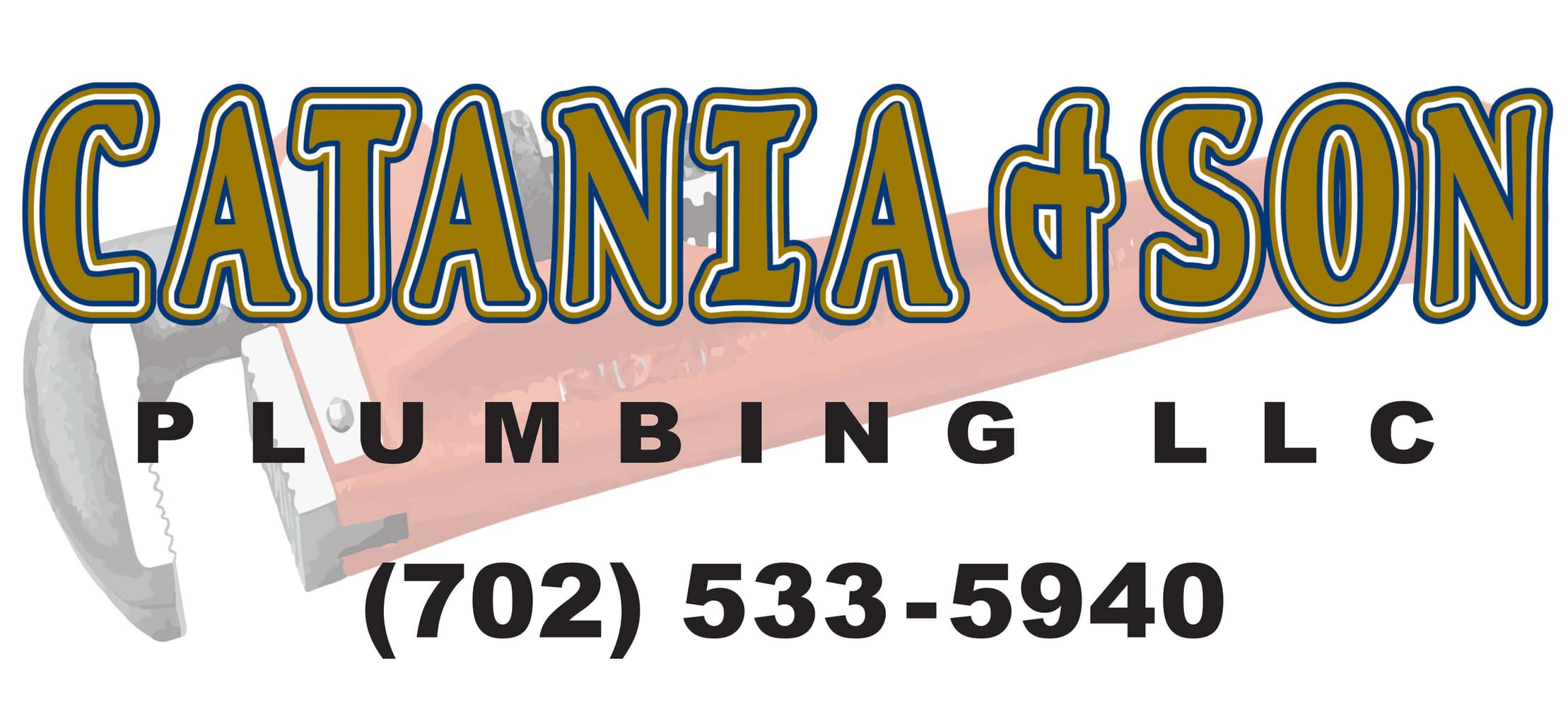 Catania And Son Plumbing Llc Project
